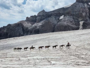 kazbek-gallery13