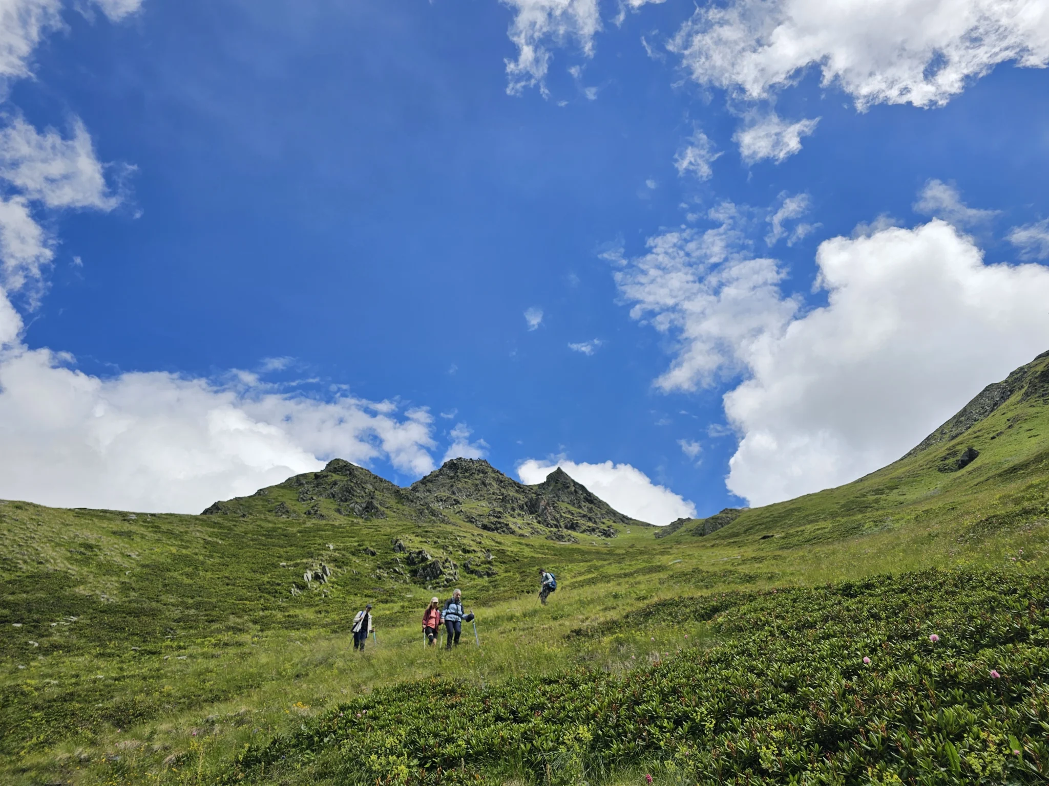 Tusheti-Gallery_12