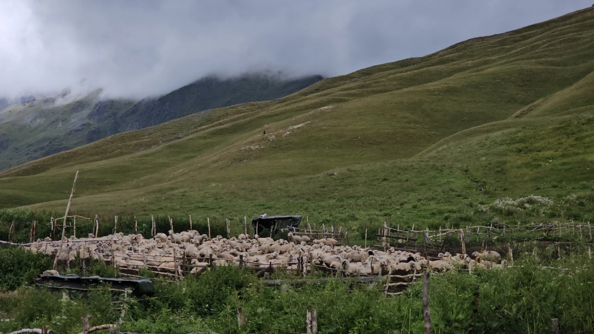 Tusheti-Gallery_18