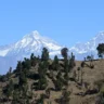 A scenic landscape featuring a range of snow-capped mountains under a clear blue sky, with a hilly foreground covered in scattered trees and dry grass.