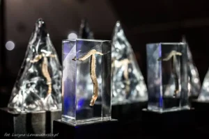 A display of several transparent, pyramid-shaped cases, each containing a preserved, T-shaped biological specimen suspended in a liquid medium, illuminated with blue light against a dark background.