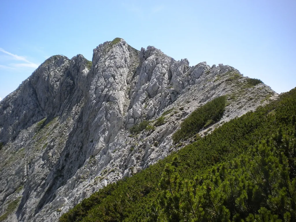 A striking close-up of the razor-sharp, light-gray limestone ridge of Mount Mangart (or similar peak) in the Julian Alps, Slovenia, with steep rocky faces dropping into green alpine meadows and dwarf pine in the foreground, under a clear blue sky.