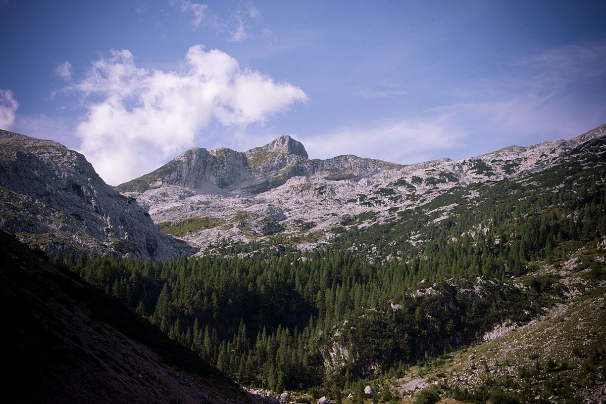 A dramatic view of a high limestone peak in the Julian Alps, Slovenia, rising sharply above a dense dark-green coniferous forest in the foreground. The pale gray rock face catches the sunlight, with scattered clouds drifting across a deep blue sky.