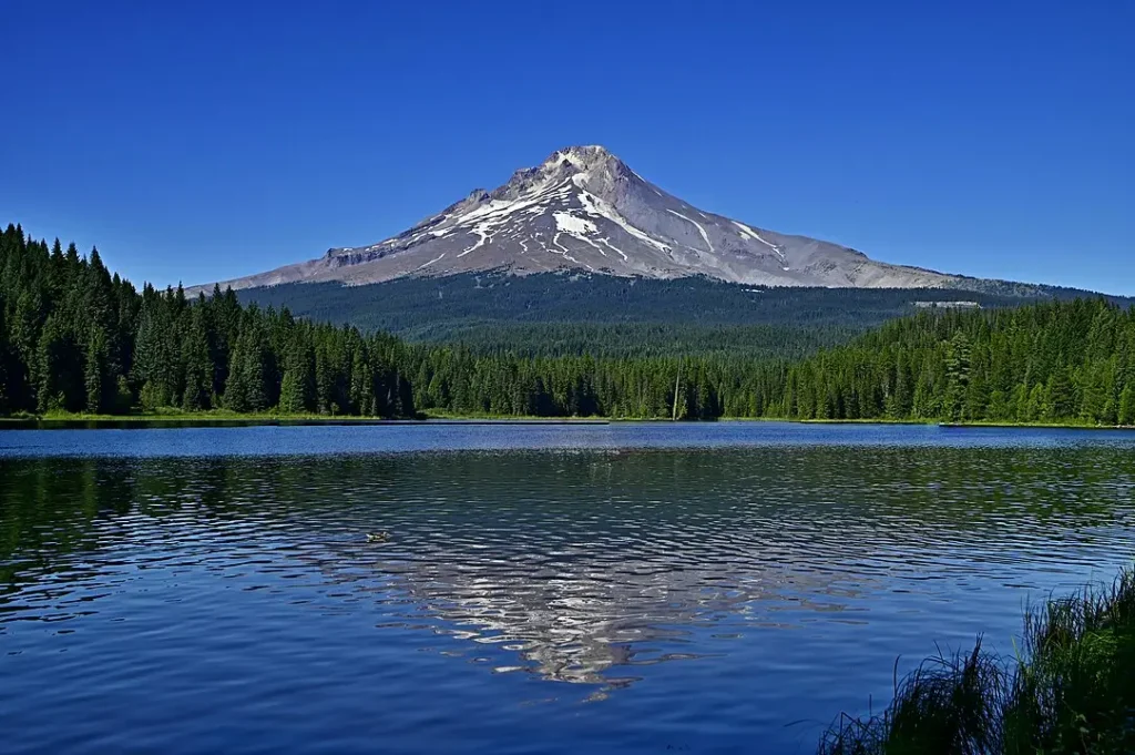 A majestic snow-capped volcanic peak, Mount Hood, rises symmetrically against a clear deep blue sky, its reflection perfectly mirrored in the calm, rippling surface of a serene foreground lake. Dense evergreen forests line the shores and foothills, creating a tranquil and picturesque natural landscape on a bright, sunny day.