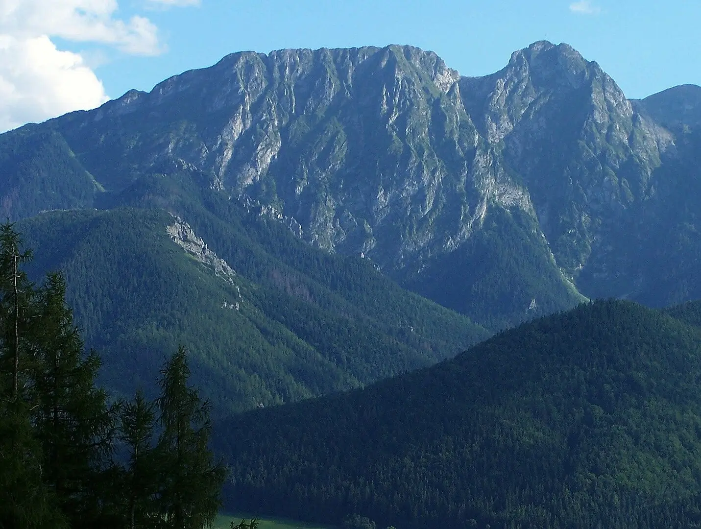 Majestic alpine mountain ridge with jagged limestone peaks rising sharply above dense evergreen forests. The rugged summits catch the sunlight against a clear blue sky, while deep green slopes cascade downward in the foreground.