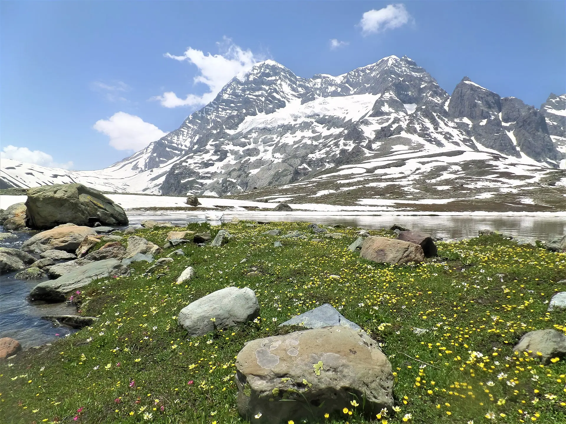 A vibrant alpine meadow in the high Himalayas dotted with yellow wildflowers, scattered rocks, and small boulders, bordering a calm glacial stream or meltwater pool. In the background, towering snow-capped peaks with glaciers and rugged rock faces rise sharply against a bright blue sky with a few scattered clouds.
