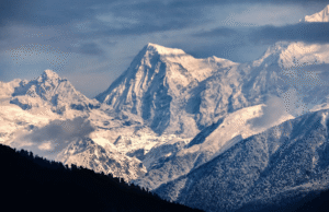 "Stunning snow-covered Himalayan peaks in Nepal at dusk, framed by dark pine forests and dramatic clouds